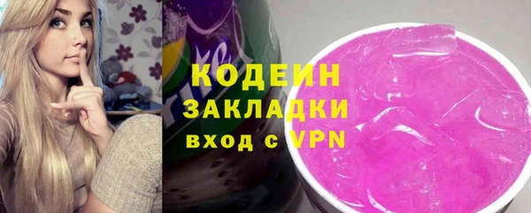 индика Гусев