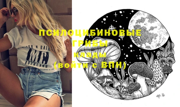 PSILOCYBIN Алексин