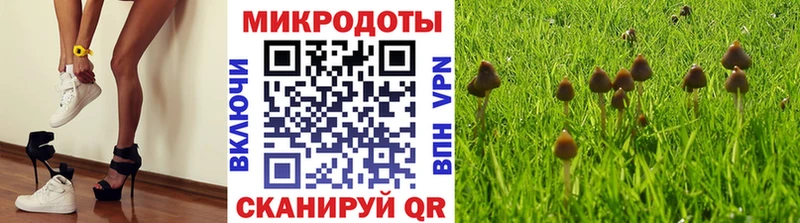 Псилоцибиновые грибы Cubensis магазин продажи наркотиков Зеленоградск